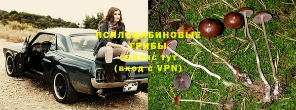 соль курить ск Бугульма