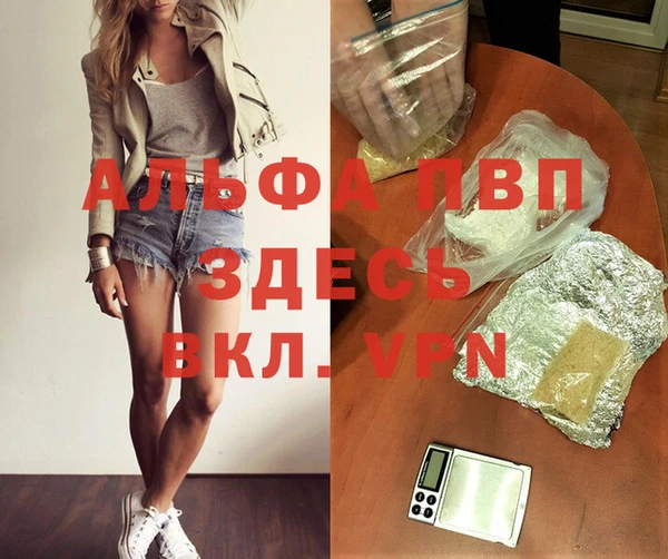 прущие крисы Бородино