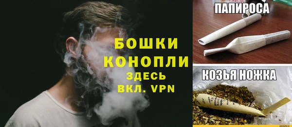 прущие крисы Бородино