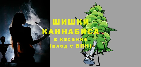 прущие крисы Бородино
