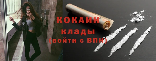 прущие крисы Бородино