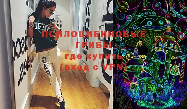 прущие крисы Бородино