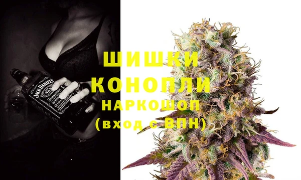 прущие крисы Бородино