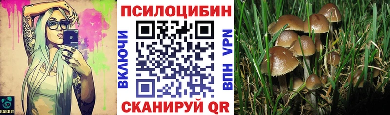 Галлюциногенные грибы GOLDEN TEACHER  Кореновск 